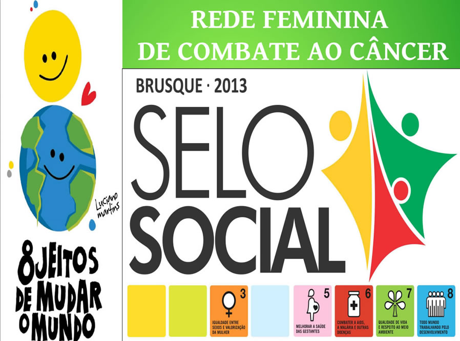 Entrega do Selo Social 2013
